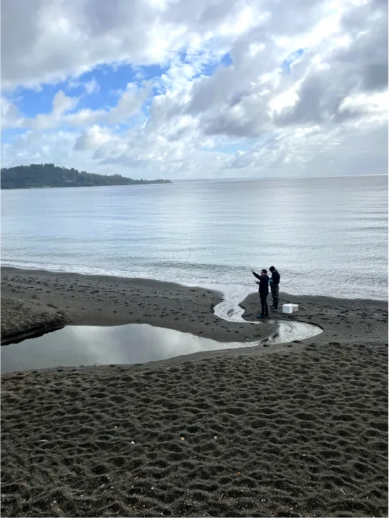 Galería Lago Sin Huella 6