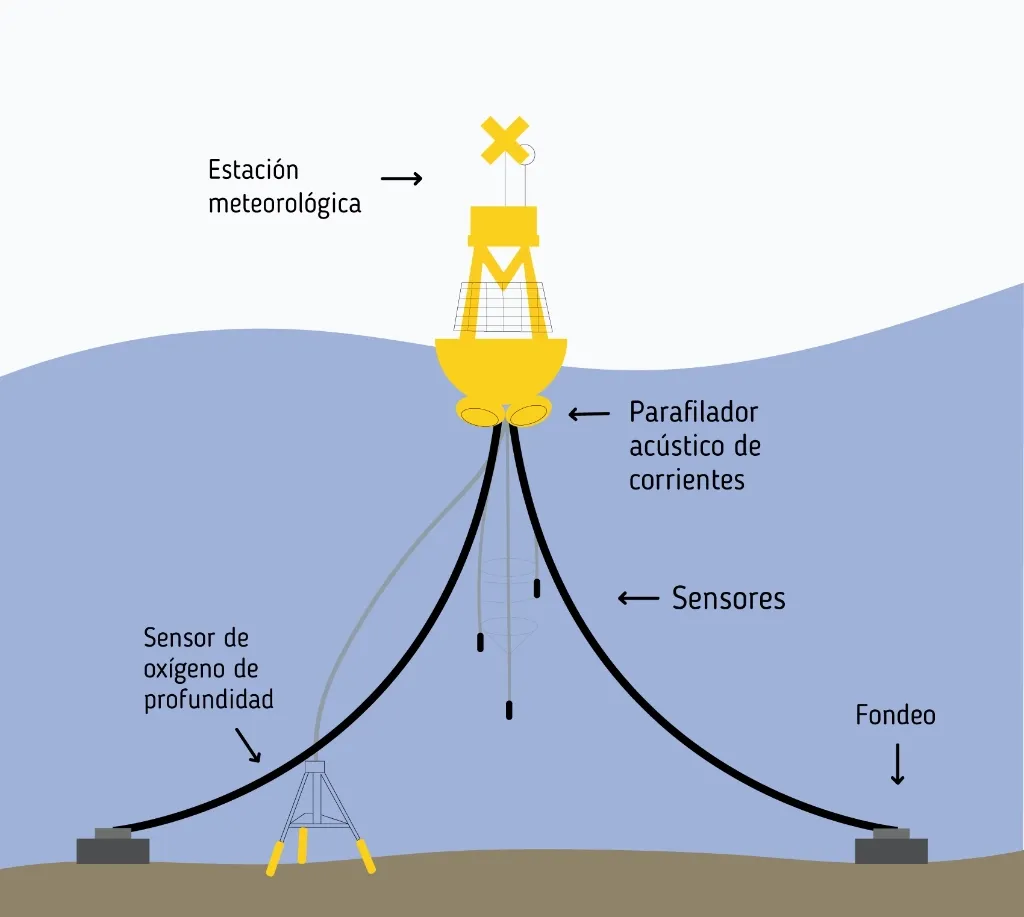 Imagen Toma de Monitoreo